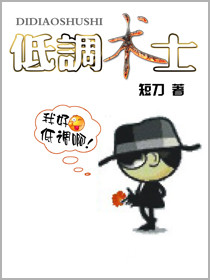 《低调术士》封面
