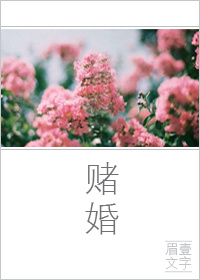 《赌婚》封面