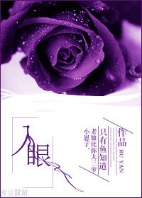 《入眼》封面