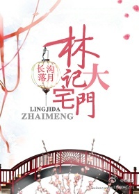 《林记大宅门》封面