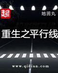 《重生之平行线》封面