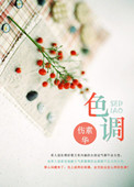 《色调》封面