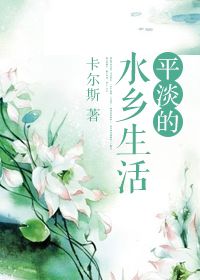 《平淡的水乡生活》封面