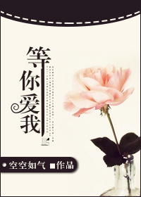 《等你爱我》封面