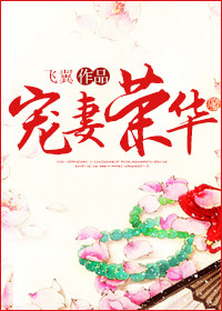 《宠妻荣华》封面
