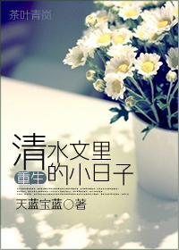 《重生清水文里的小日子》封面