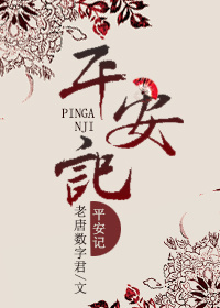 《平安记》封面