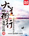 《大道独行》封面