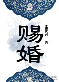 《赐婚（重生）》封面