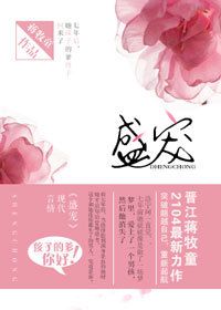 《盛宠（时光抢不走的你）》封面