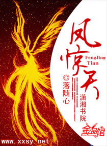 《凤惊天》封面