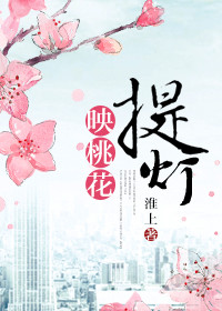 《提灯映桃花》封面