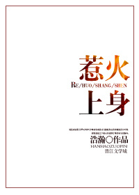 《惹火上身》封面