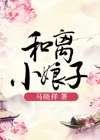 《和离小娘子》封面
