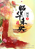 《昭华未央》封面