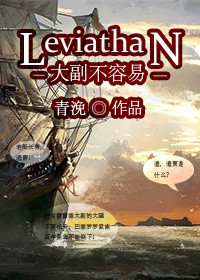 《大副不容易》封面