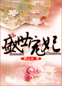《盛世宠妃》封面