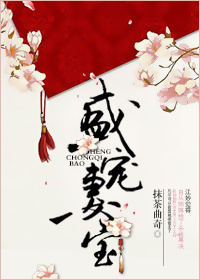 《盛宠妻宝》封面