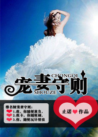 《宠妻守则》封面