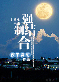 《重生之强制结合》封面