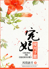《宠妃使用手册》封面