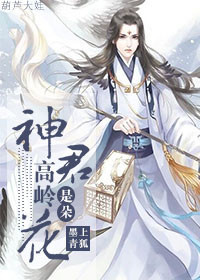 《神君是朵高岭花》封面