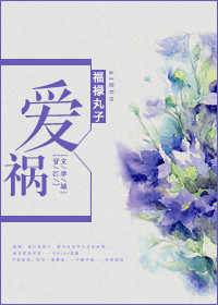 《爱祸》封面