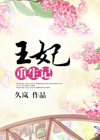 《王妃重生记》封面
