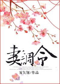 《妻调令》封面