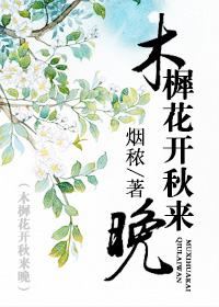 《木樨花开秋来晚》封面