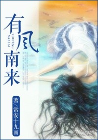 《有风南来》封面