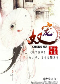 《宠奴》封面