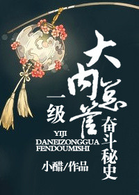 《一级大内总管奋斗秘史》封面