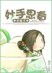 《妙手思春》封面