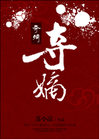《夺嫡》封面