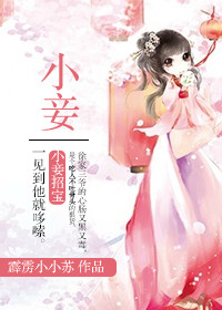 《小妾》封面