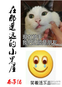 《在那遥远的小黑屋》封面