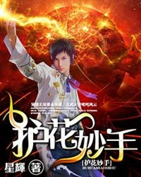 《护花妙手》封面