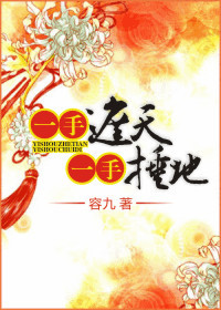 《一手捶地，一手遮天》封面