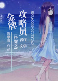 《金牌攻略员》封面