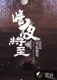 《暗夜将至》封面