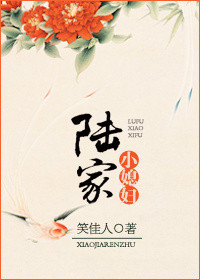 《陆家小媳妇》封面