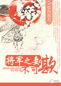 《将军之妻不可欺》封面