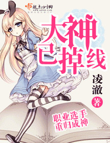 《大神已掉线》封面