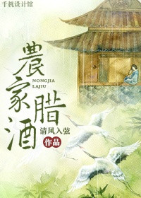 《农家腊酒》封面