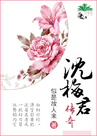 《沈梅君传奇》封面