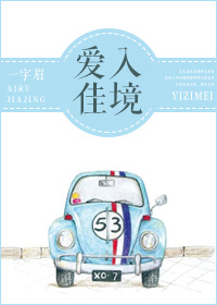 《爱入佳境》封面