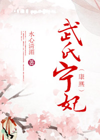 《武氏宁妃（康熙）》封面