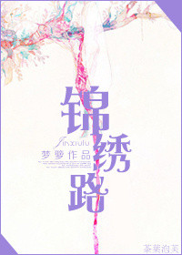 《锦绣路（作者：梦箩）》封面