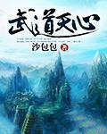 《武道天心》封面